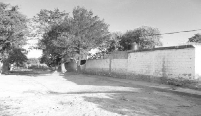 CASACUAPIAXTLA.png